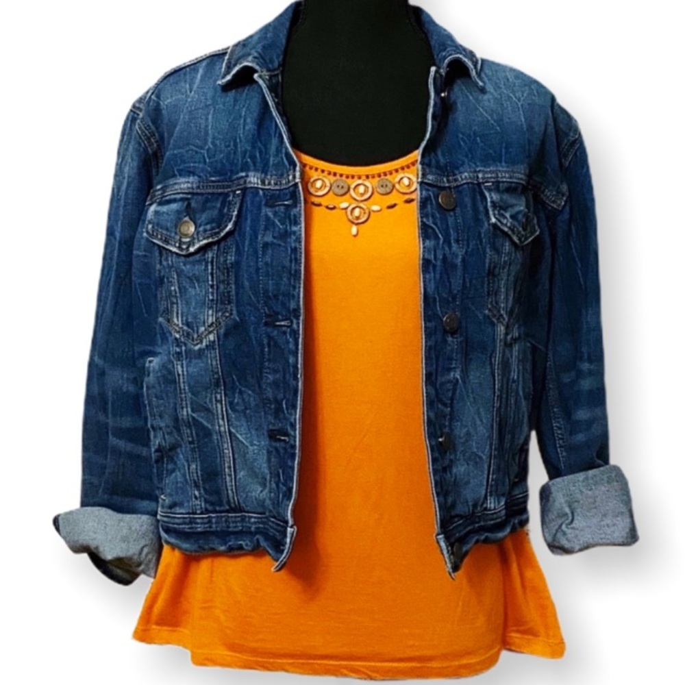 American Eagle | Denim Jacket